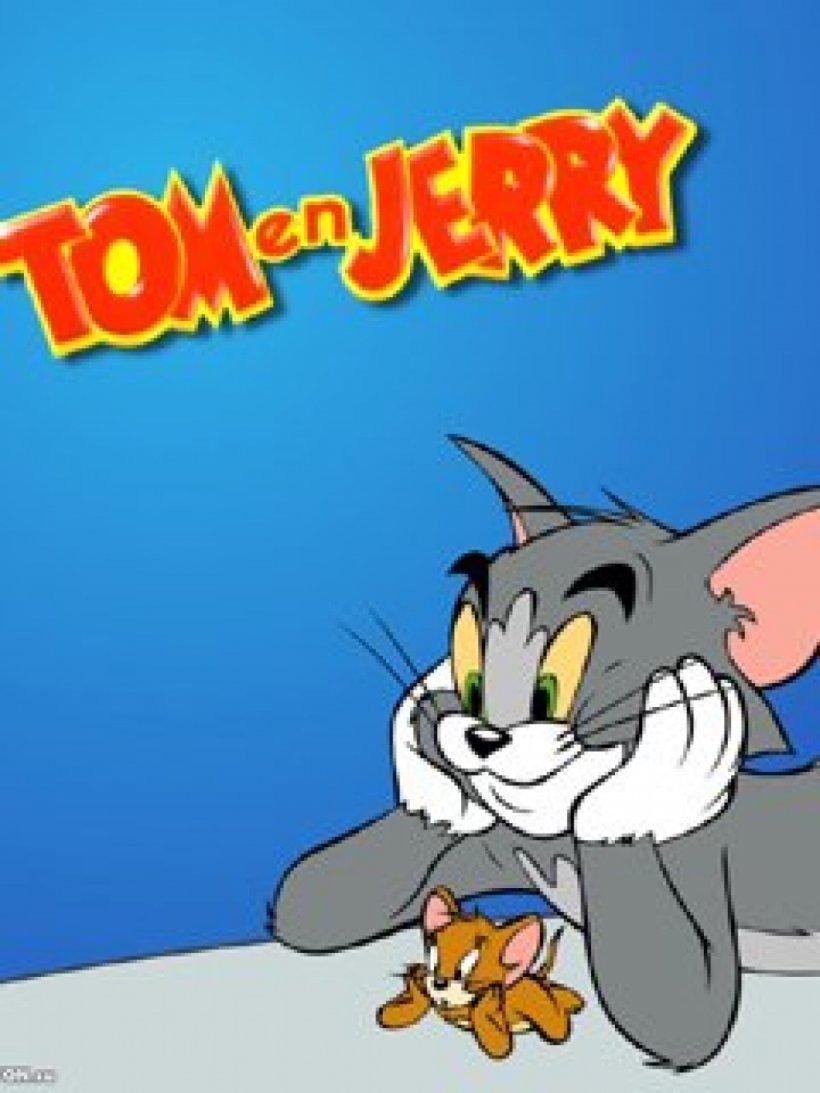 Tom Cat Wallpapers Top Free Tom Cat Backgrounds WallpaperAccess