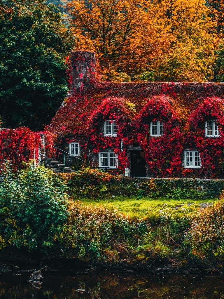 Nature House Wallpapers Top Free Nature House Backgrounds