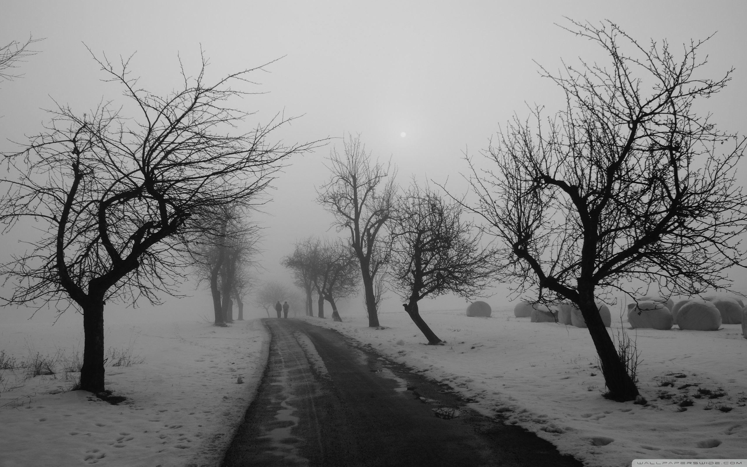 Black Winter Wallpapers Top Free Black Winter Backgrounds