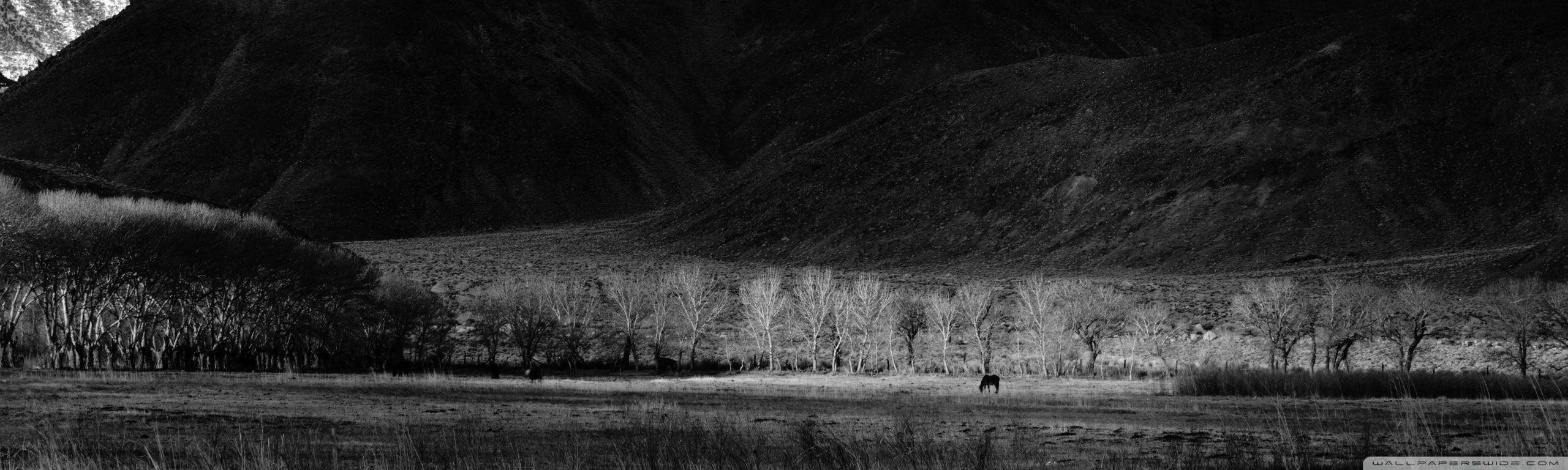 Black Winter Wallpapers Top Free Black Winter Backgrounds