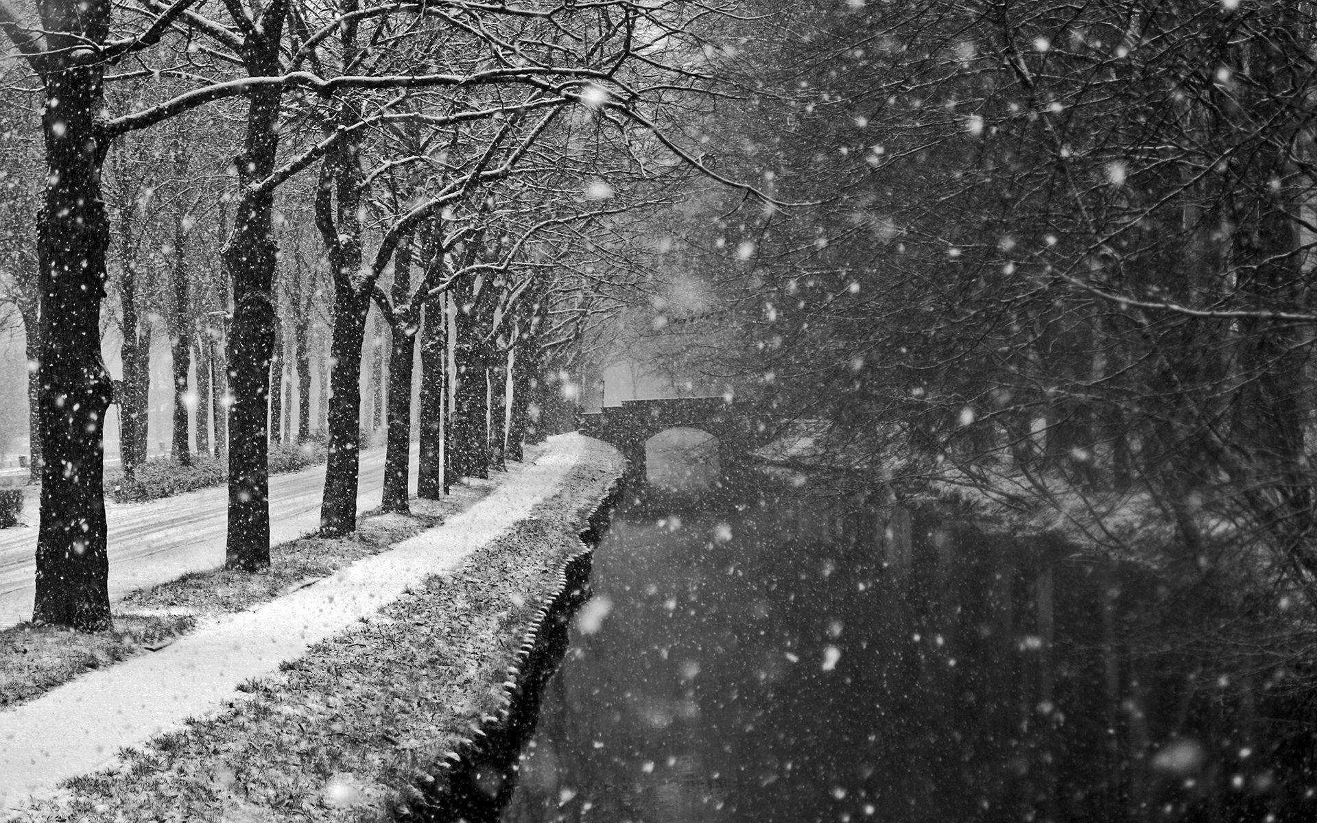 Black and White Winter Wallpapers Top Free Black and White Winter Backgrounds WallpaperAccess