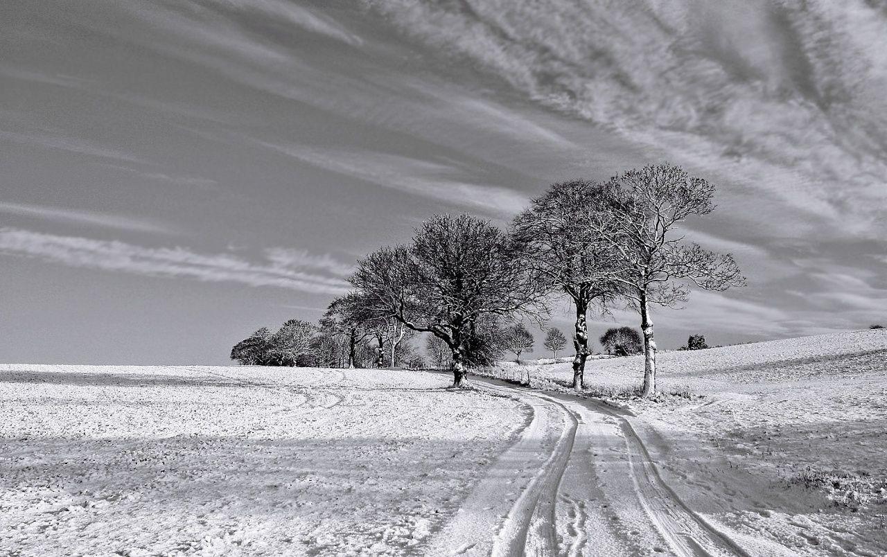 Black and White Winter Wallpapers Top Free Black and White Winter