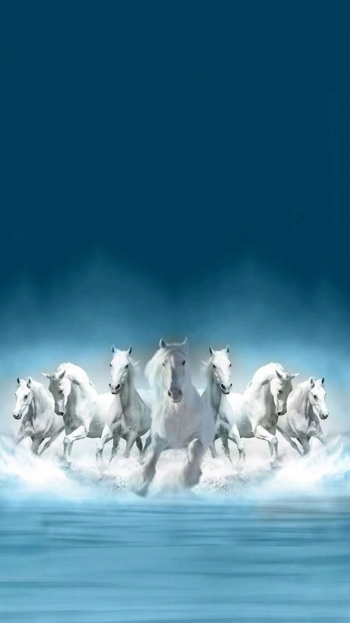 7 White Horse Wallpapers Top Free 7 White Horse Backgrounds