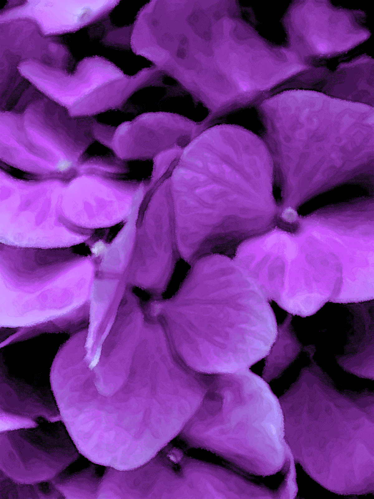 Dark Purple Flower iPhone Wallpapers Top Free Dark Purple Flower