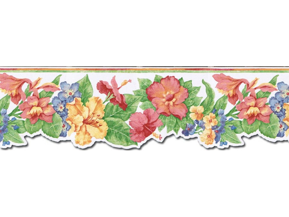 Border Design Wallpapers Top Free Border Design Backgrounds