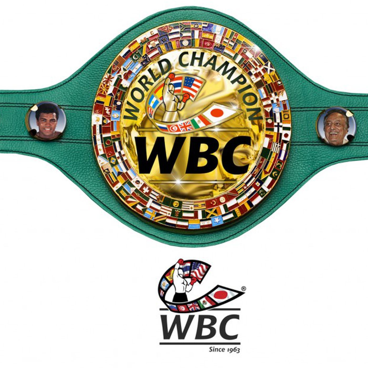 WBC Wallpapers Top Free WBC Backgrounds WallpaperAccess