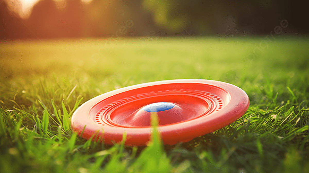 Frisbee Wallpapers Top Free Frisbee Backgrounds WallpaperAccess