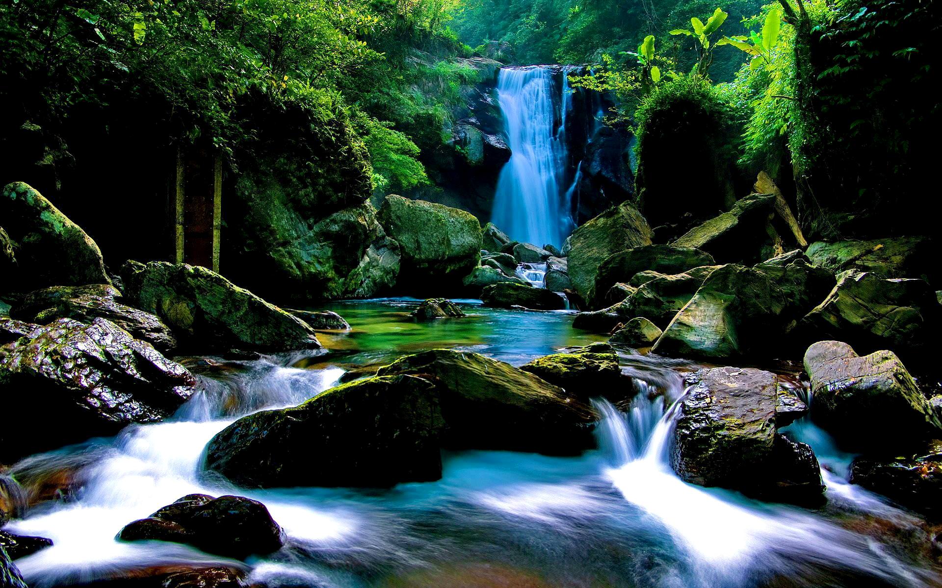 Forest Waterfall Wallpapers Top Free Forest Waterfall Backgrounds