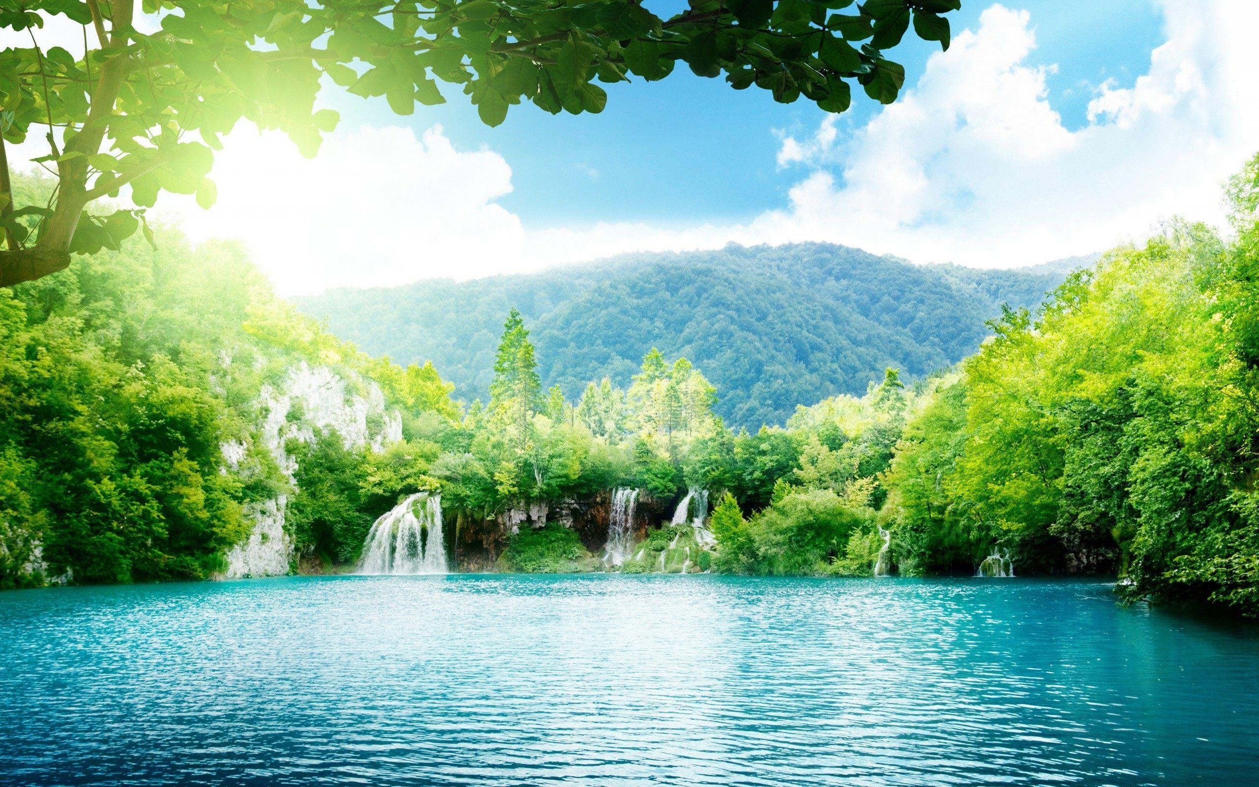 Forest Waterfall Wallpapers Top Free Forest Waterfall