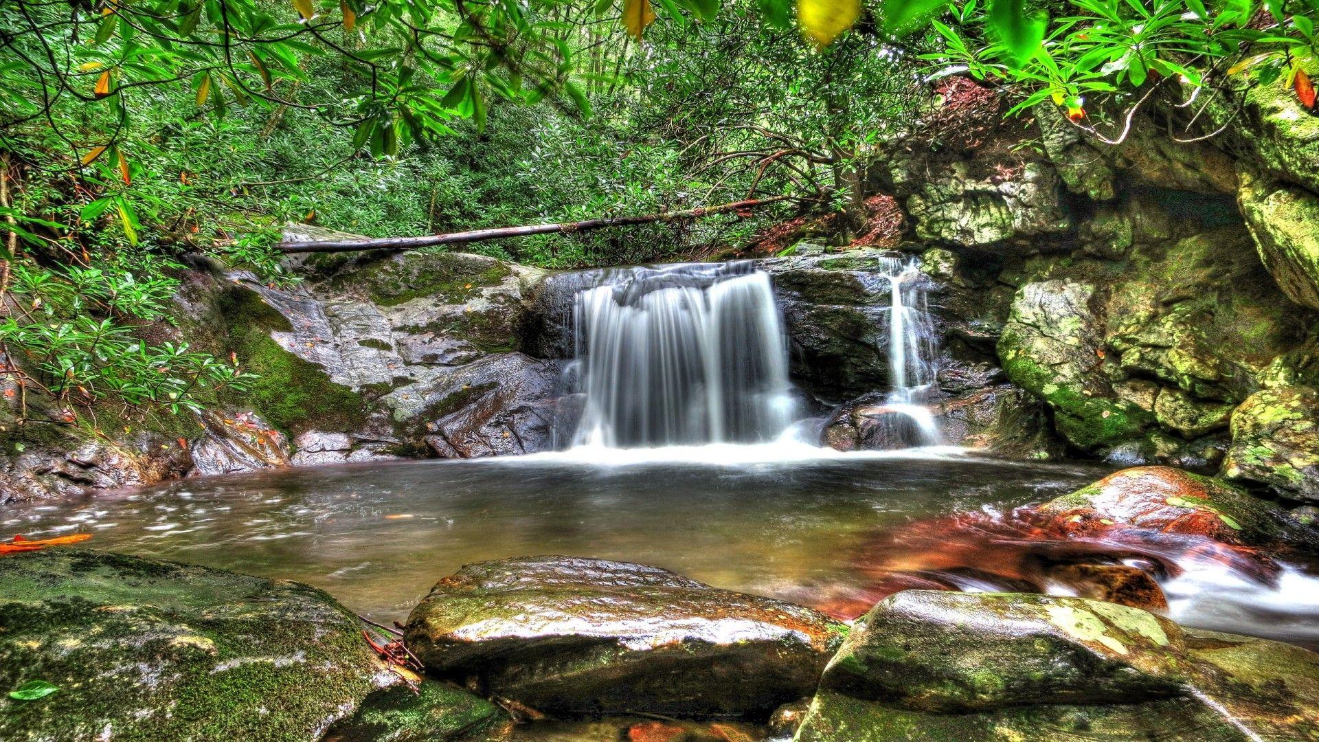 Forest Waterfall Wallpapers Top Free Forest Waterfall Backgrounds