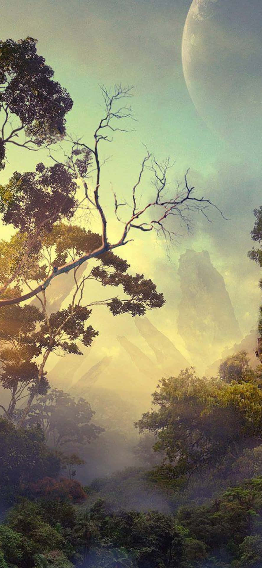 Forest Mobile Wallpapers Top Free Forest Mobile Backgrounds