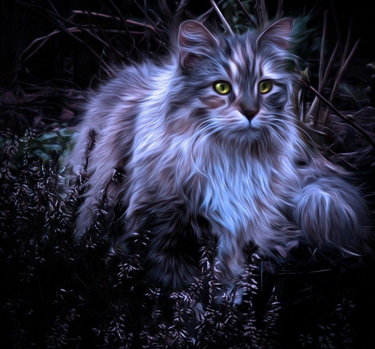 Cat Art Wallpapers Top Free Cat Art Backgrounds WallpaperAccess