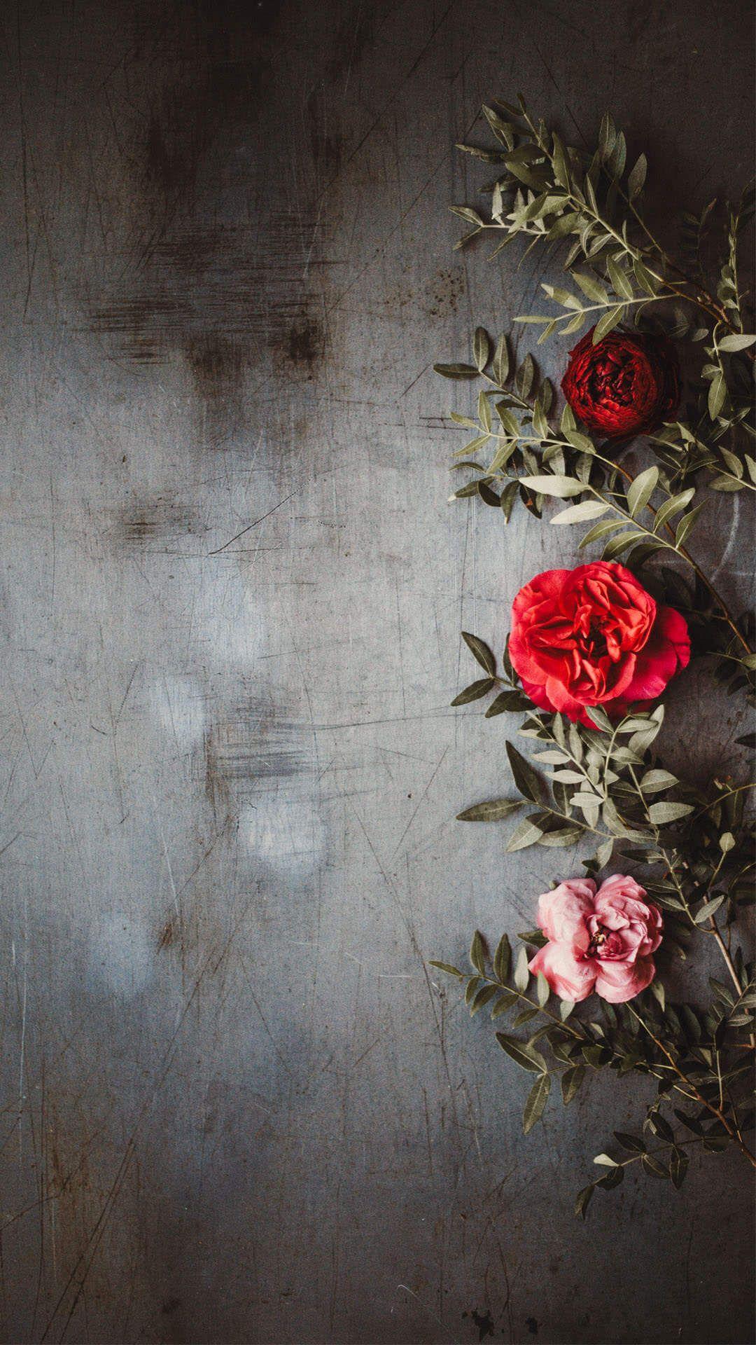 Dark Flower iPhone Wallpapers Top Free Dark Flower iPhone Backgrounds