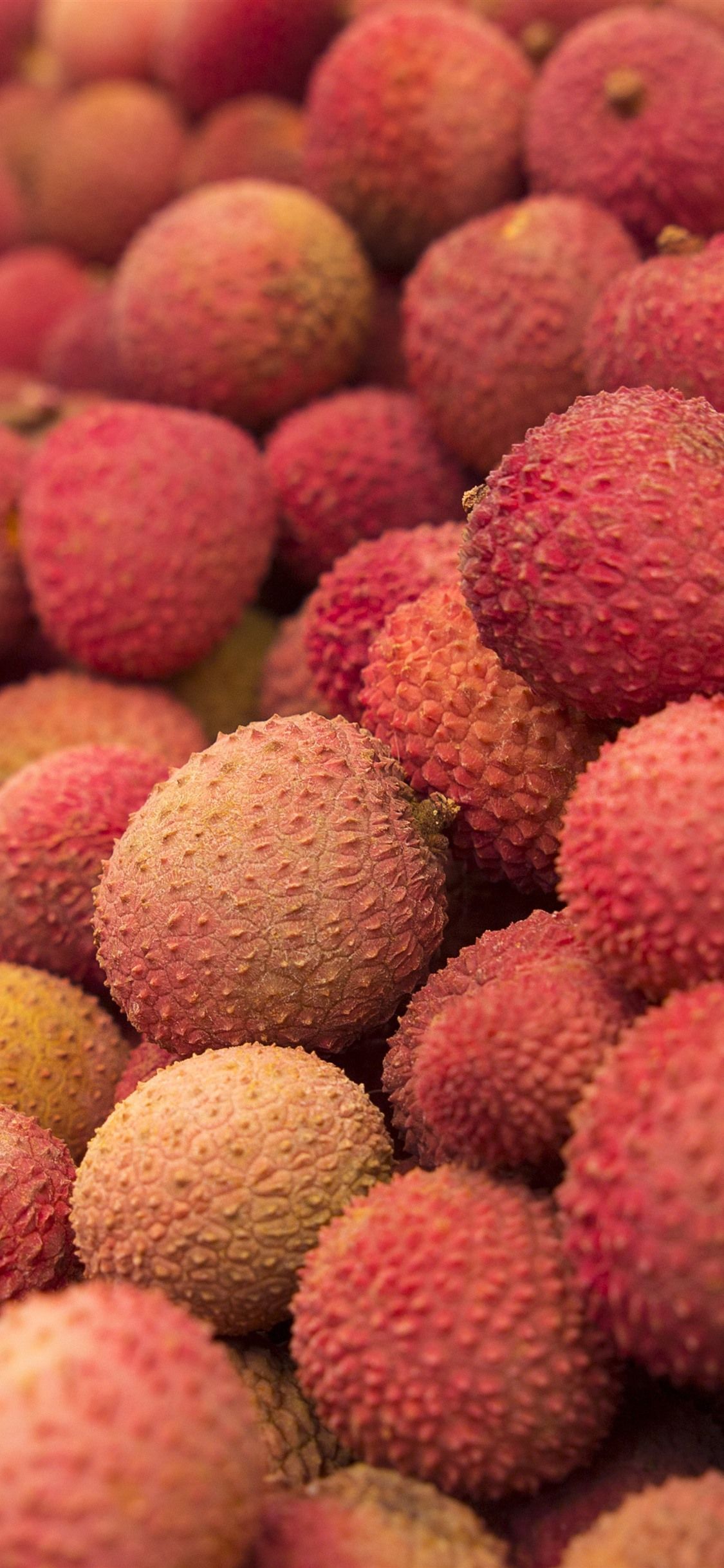 Lychee Wallpapers Top Free Lychee Backgrounds WallpaperAccess