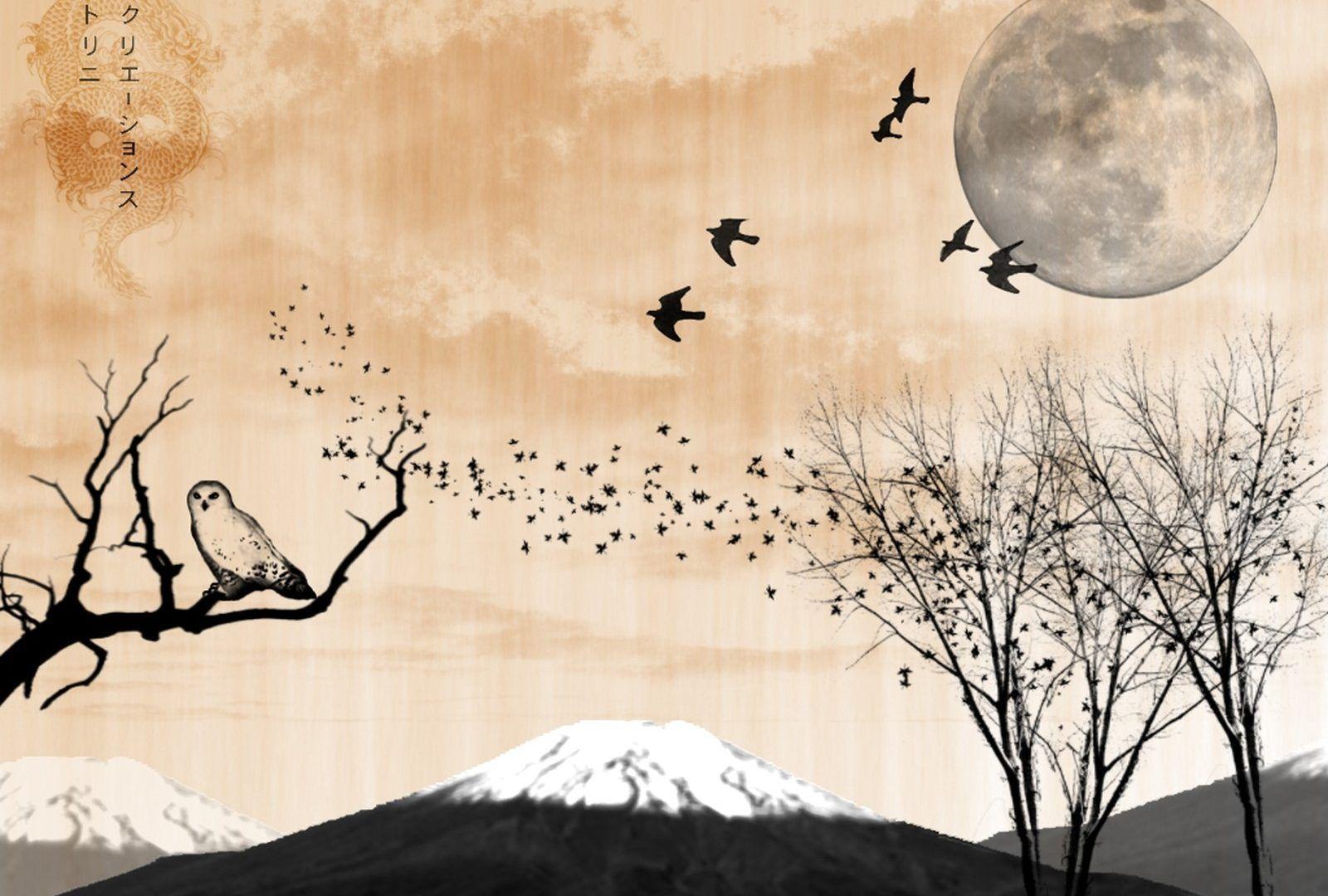 Asian Bird Art Wallpapers Top Free Asian Bird Art Backgrounds