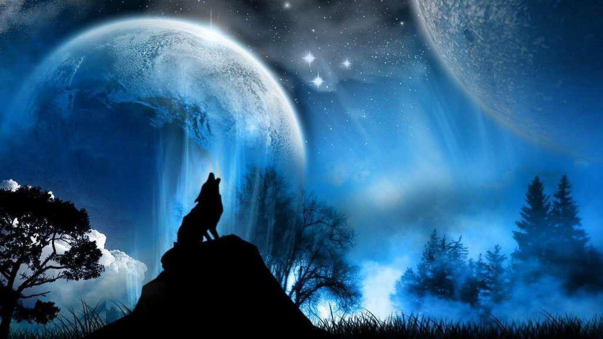 Ice Wolf Wallpapers Top Free Ice Wolf Backgrounds WallpaperAccess