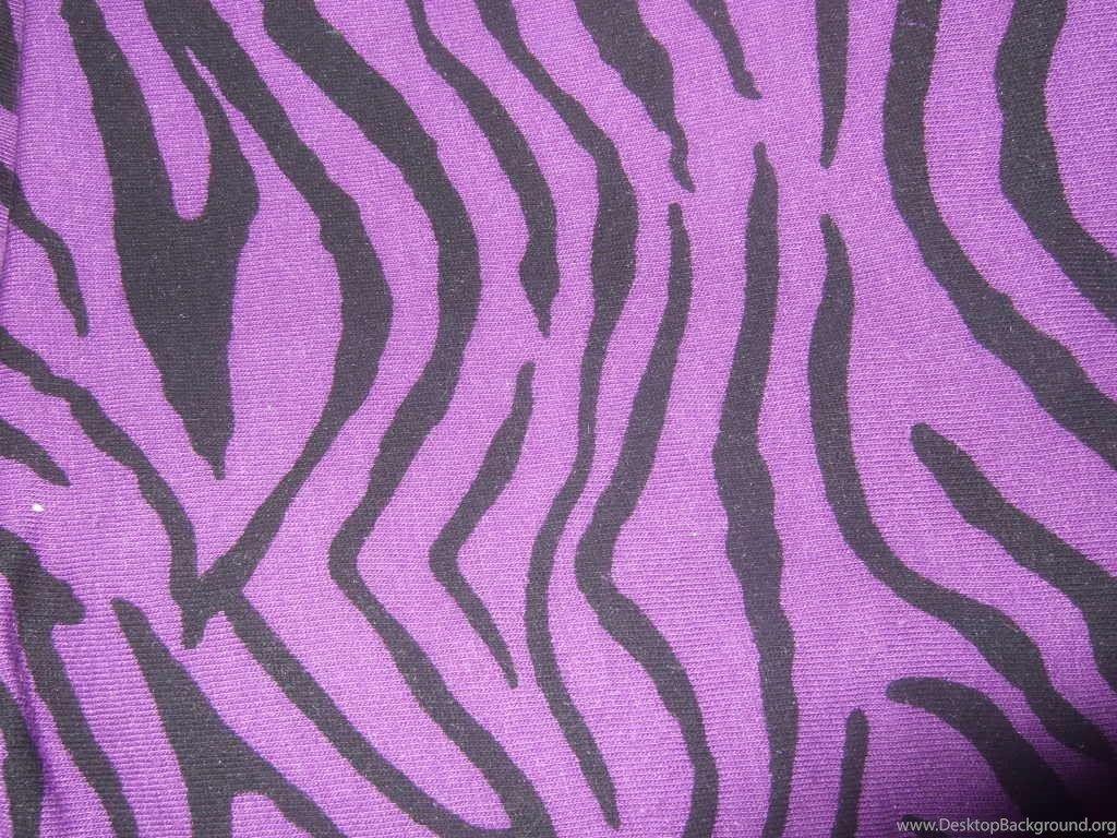 Purple Zebra Wallpapers Top Free Purple Zebra Backgrounds