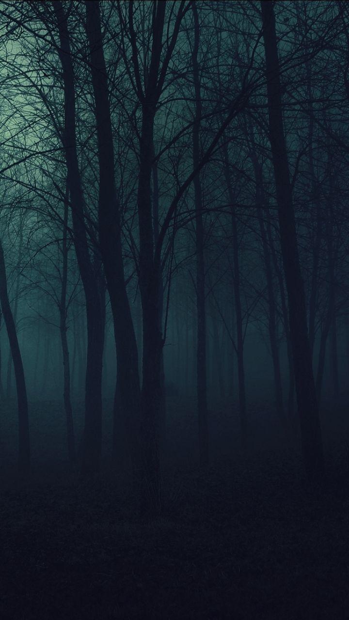 Dark Forest Wallpapers Top Free Dark Forest Backgrounds WallpaperAccess