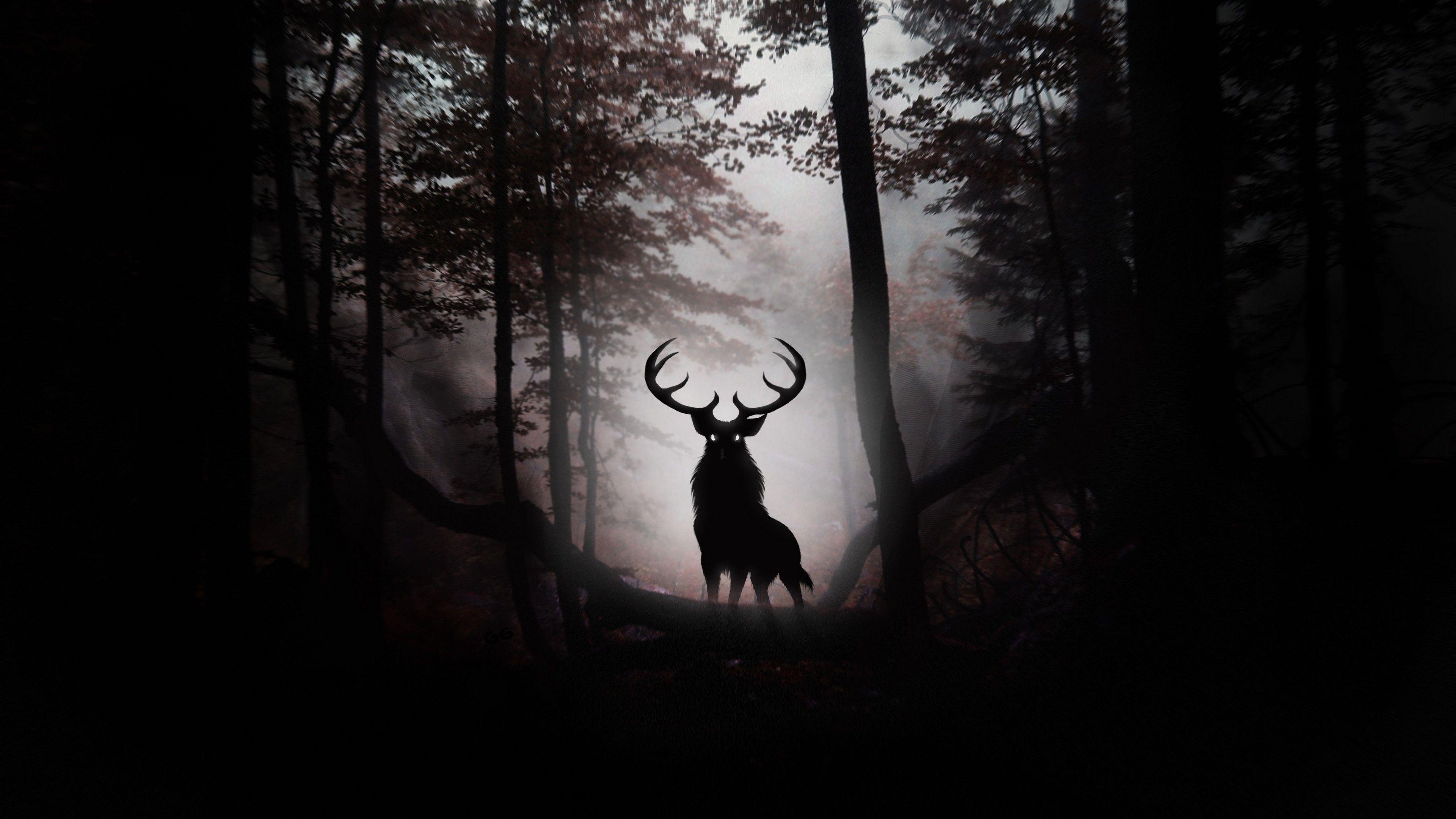 Dark Forest HD Wallpapers Top Free Dark Forest HD Backgrounds