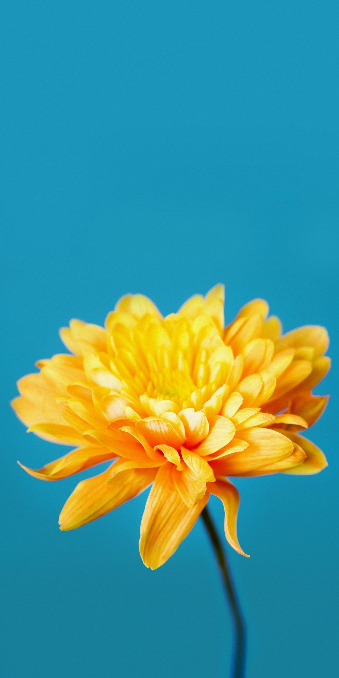 Lg V50 Wallpapers Top Free Lg V50 Backgrounds WallpaperAccess