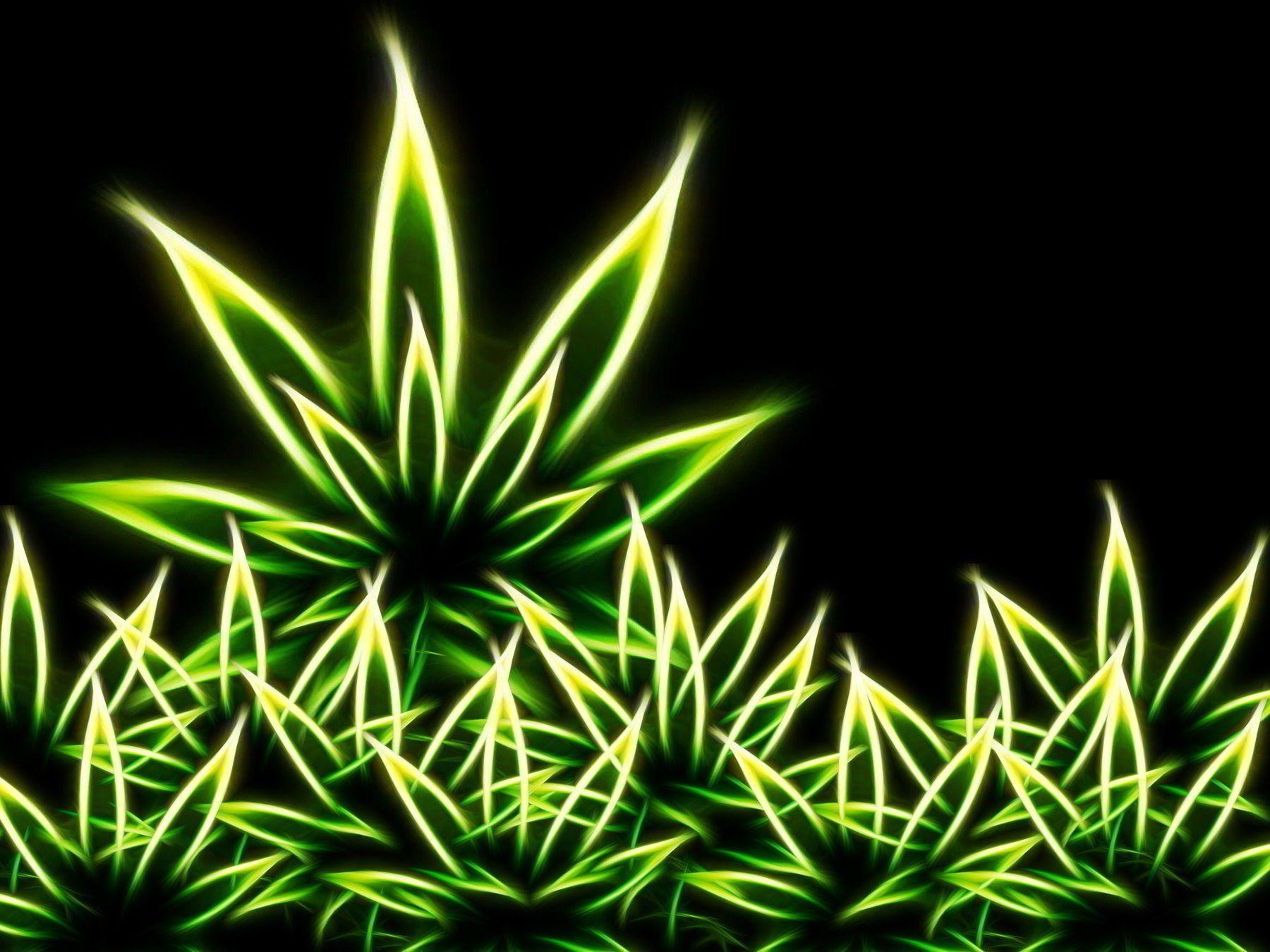 Funny Weed Wallpapers Top Free Funny Weed Backgrounds WallpaperAccess