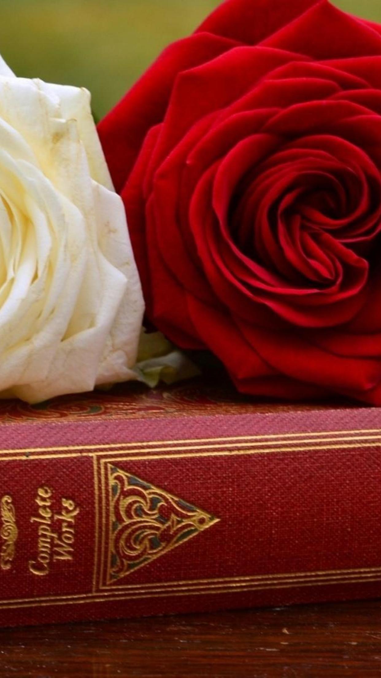 Books and Rose iPhone Wallpapers Top Free Books and Rose iPhone