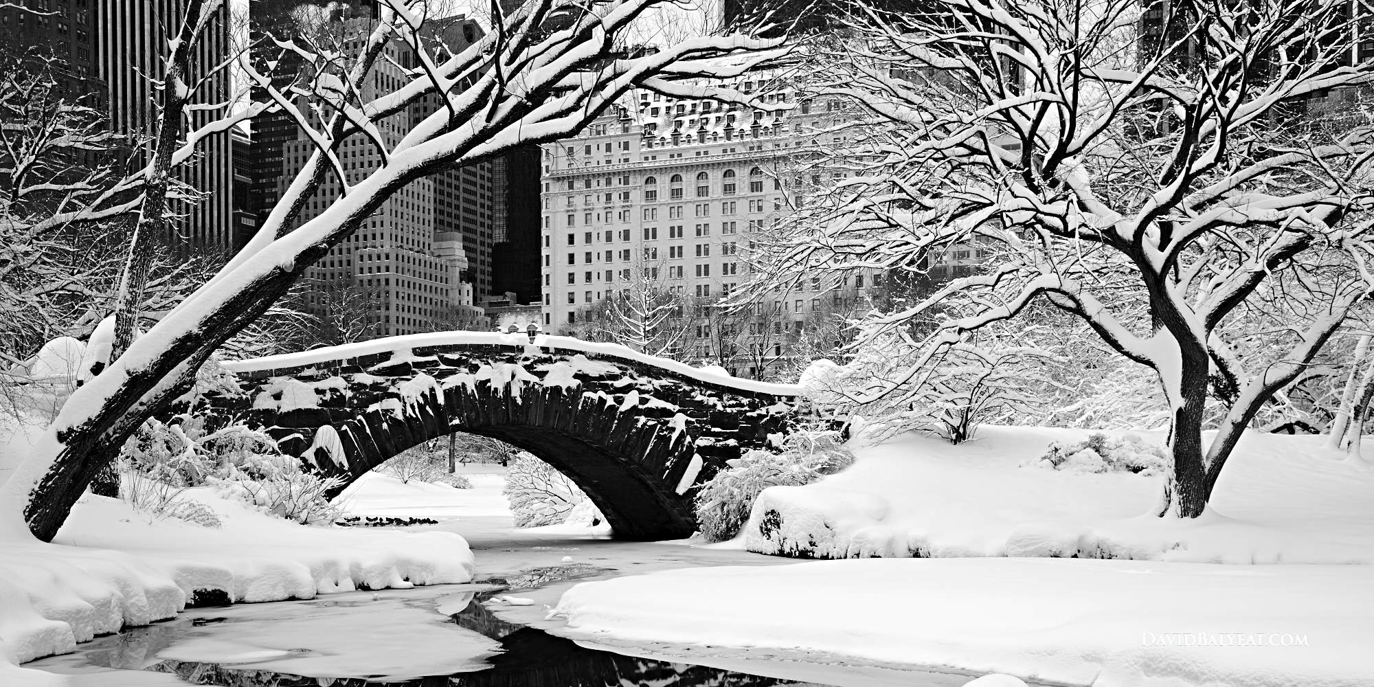 Winter in Central Park New York Wallpapers Top Free Winter in Central