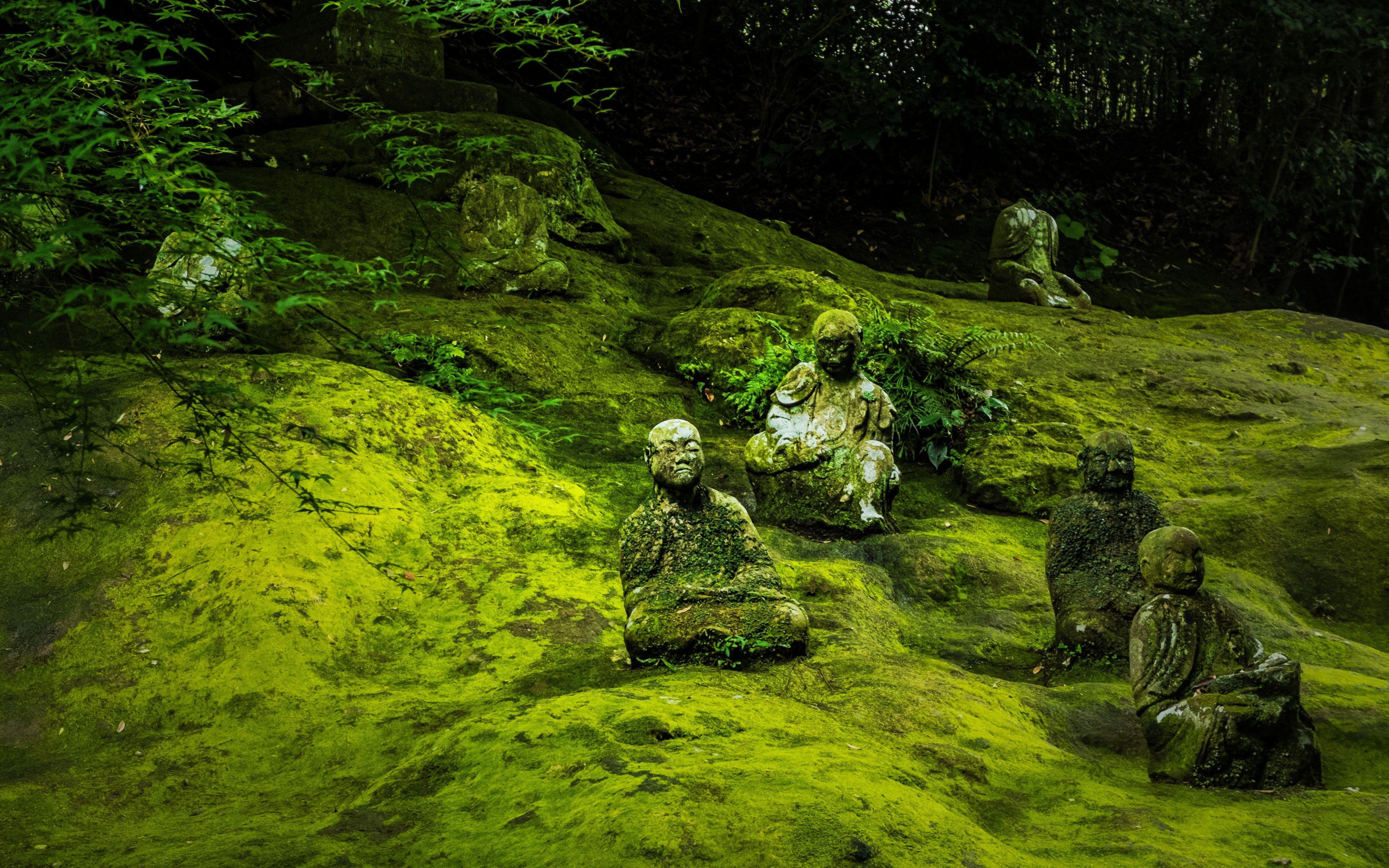 Nature Buddha Wallpapers Top Free Nature Buddha Backgrounds