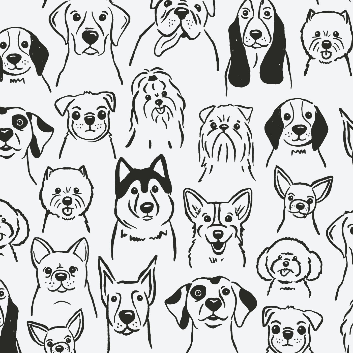Dog Breeds Wallpapers Top Free Dog Breeds Backgrounds WallpaperAccess