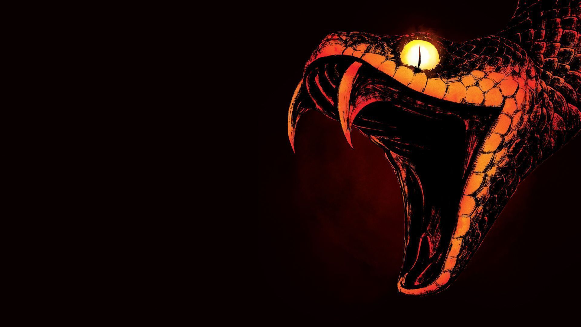 Black Cobra Wallpapers Top Free Black Cobra Backgrounds WallpaperAccess