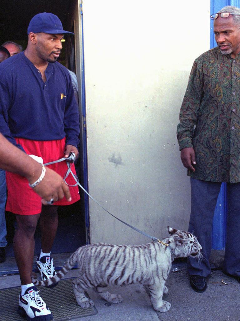 Mike Tyson Tiger Wallpapers Top Free Mike Tyson Tiger Backgrounds WallpaperAccess