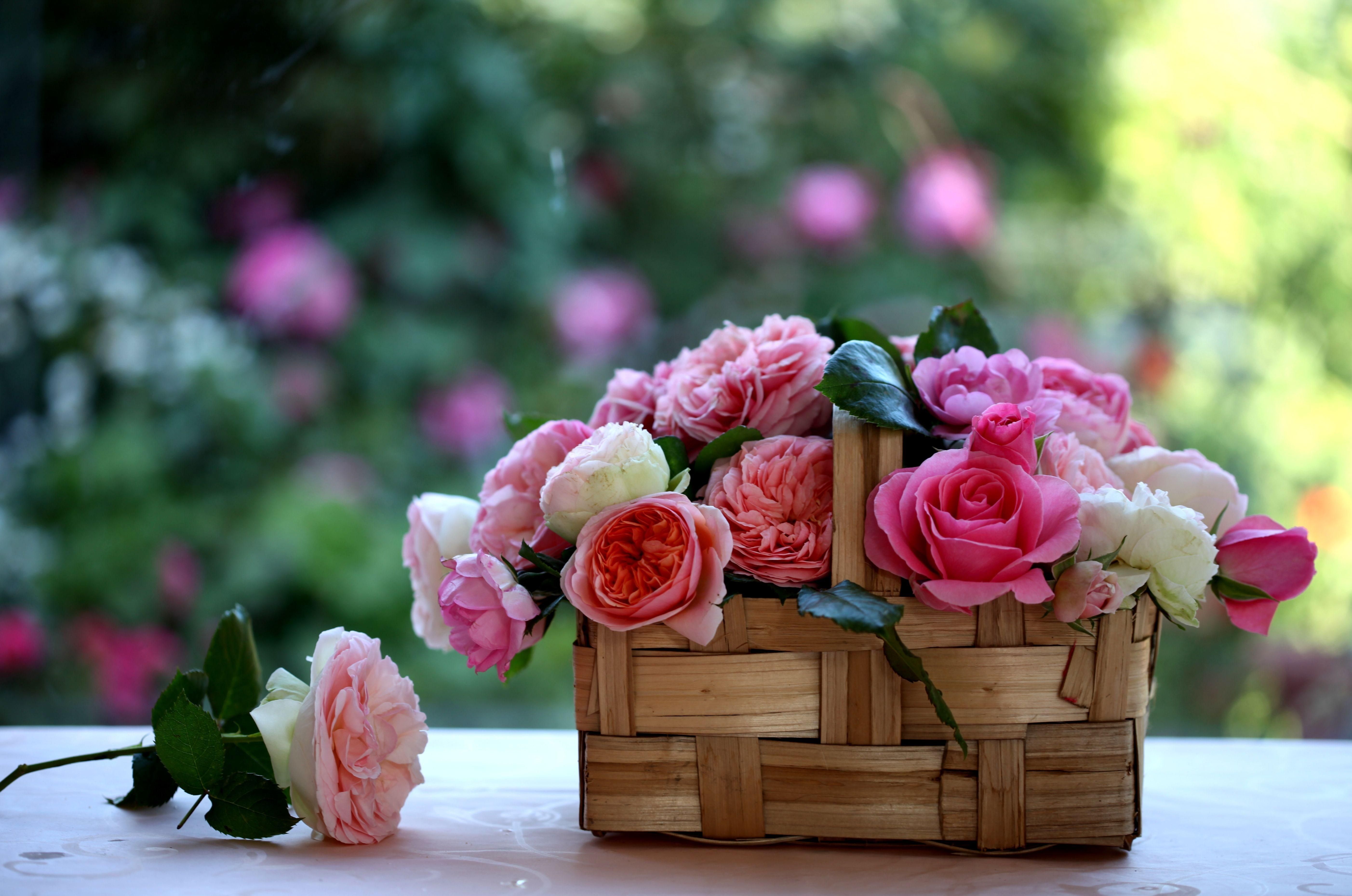 Flower Basket Wallpapers Top Free Flower Basket Backgrounds