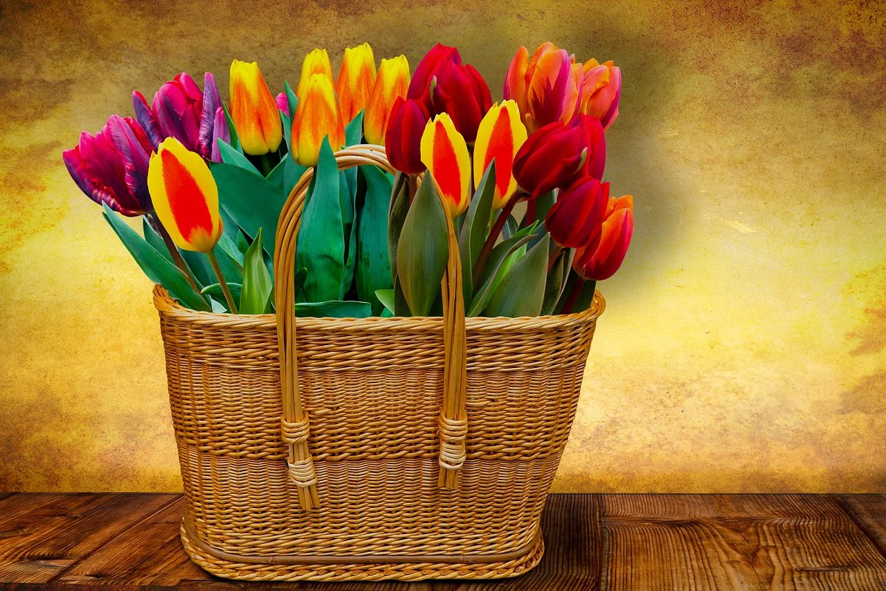 Flower Basket Wallpapers Top Free Flower Basket Backgrounds