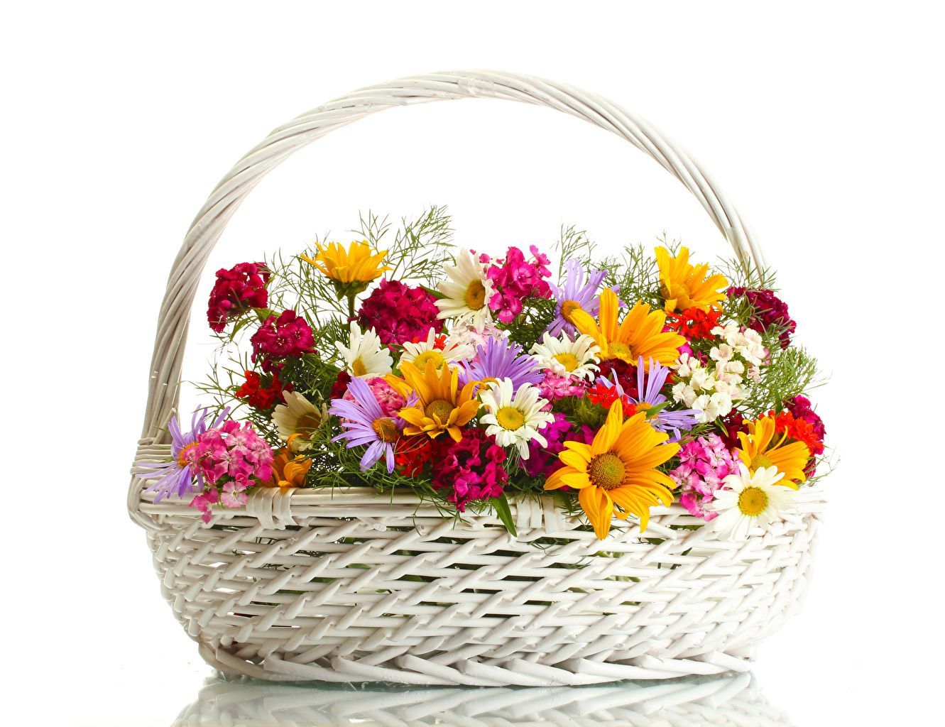 Flower Basket Wallpapers Top Free Flower Basket Backgrounds