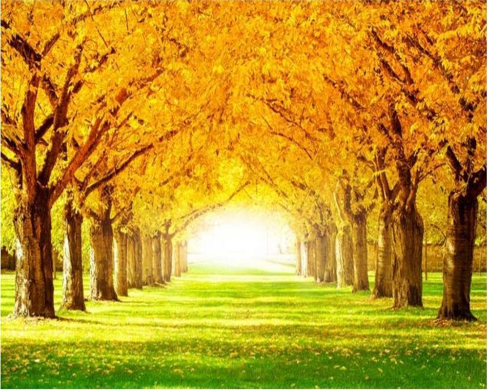 Golden Tree Wallpapers Top Free Golden Tree Backgrounds WallpaperAccess