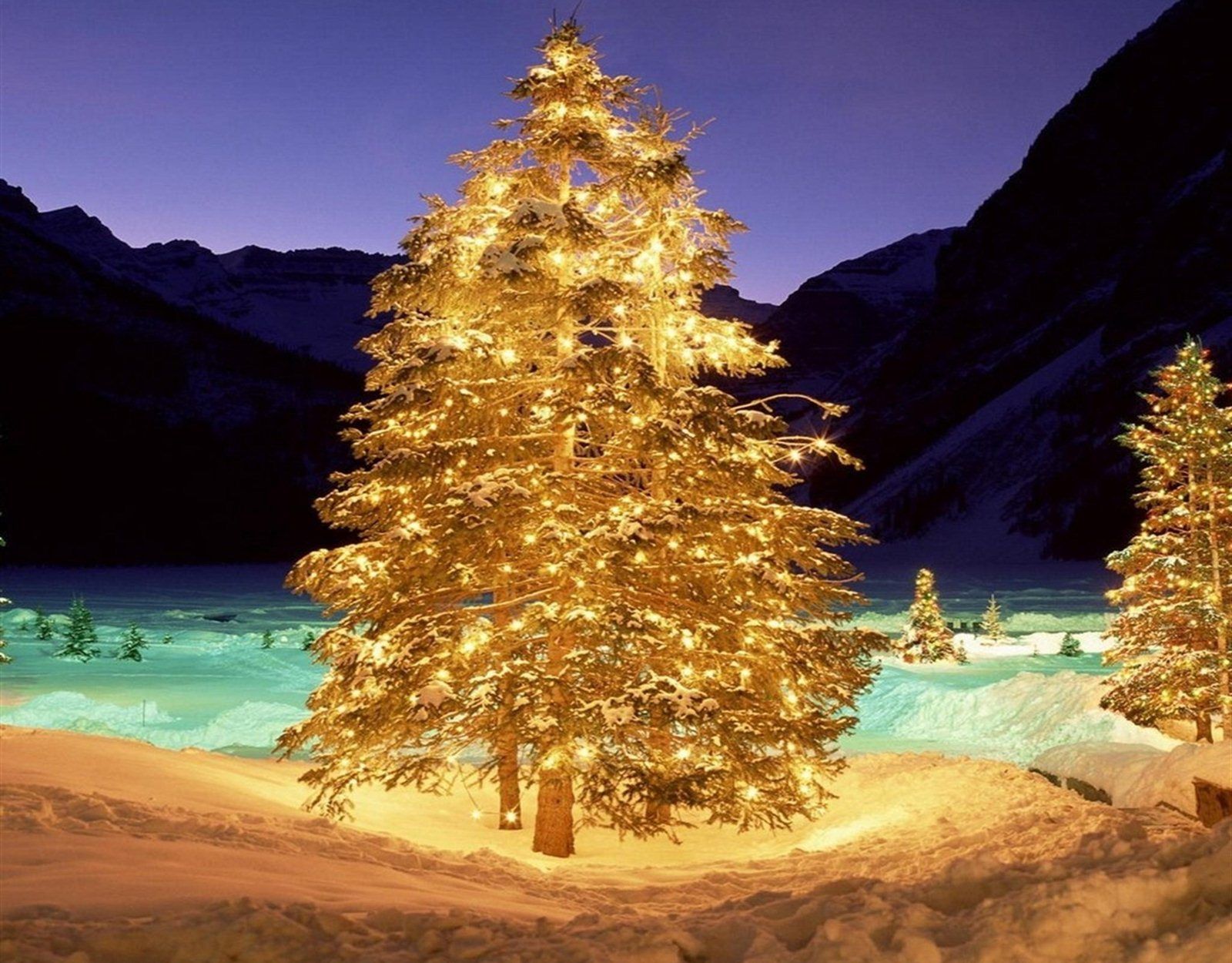 Golden Tree Wallpapers Top Free Golden Tree Backgrounds WallpaperAccess