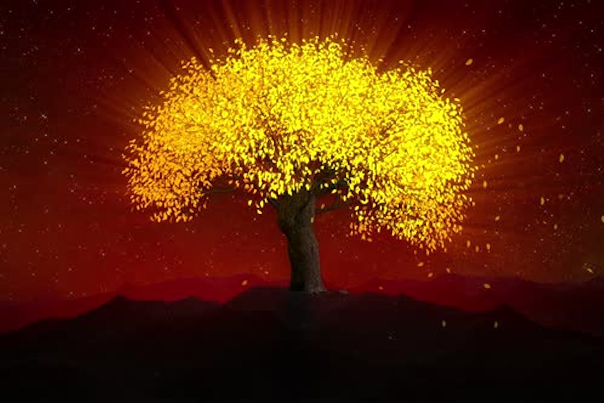 Golden Tree Wallpapers Top Free Golden Tree Backgrounds WallpaperAccess
