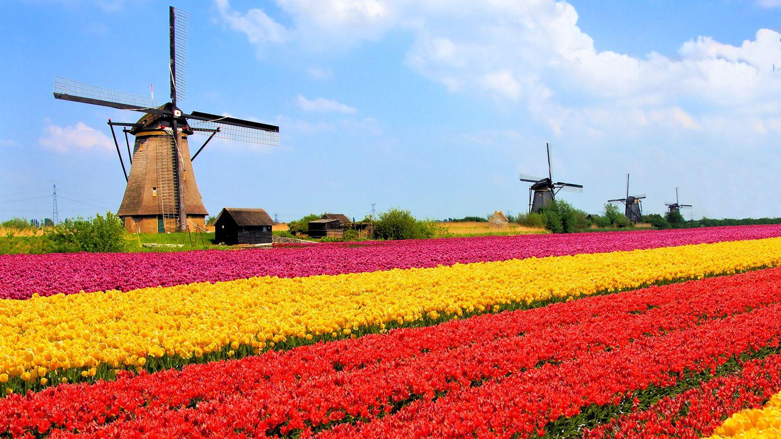 Netherlands Landscape Wallpapers Top Free Netherlands Landscape