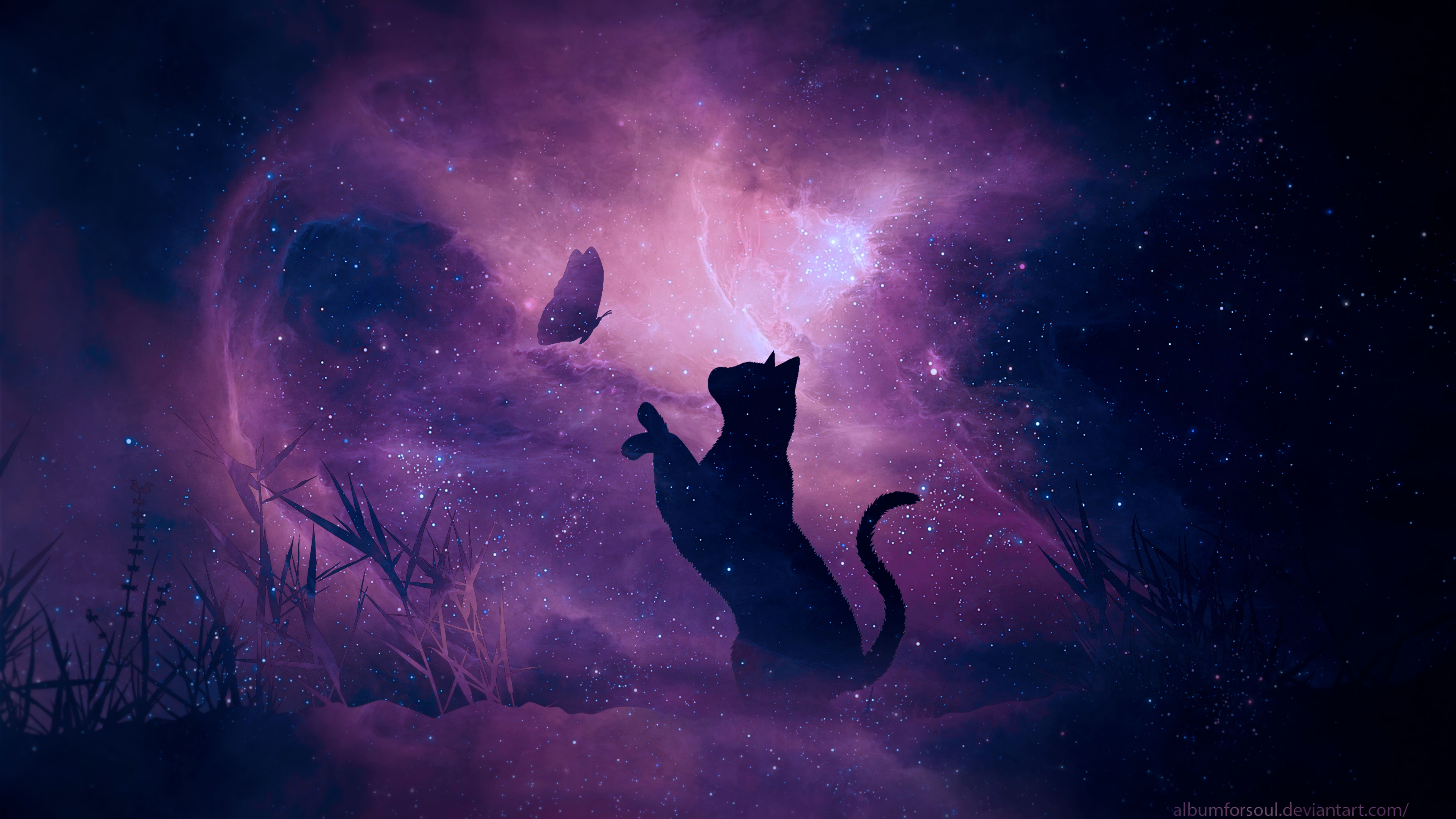 Cat Night Wallpapers Top Free Cat Night Backgrounds WallpaperAccess