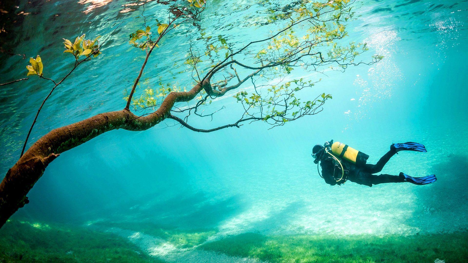 Scuba Dive Wallpapers 4k Hd Backgrounds On Wallpaperbat