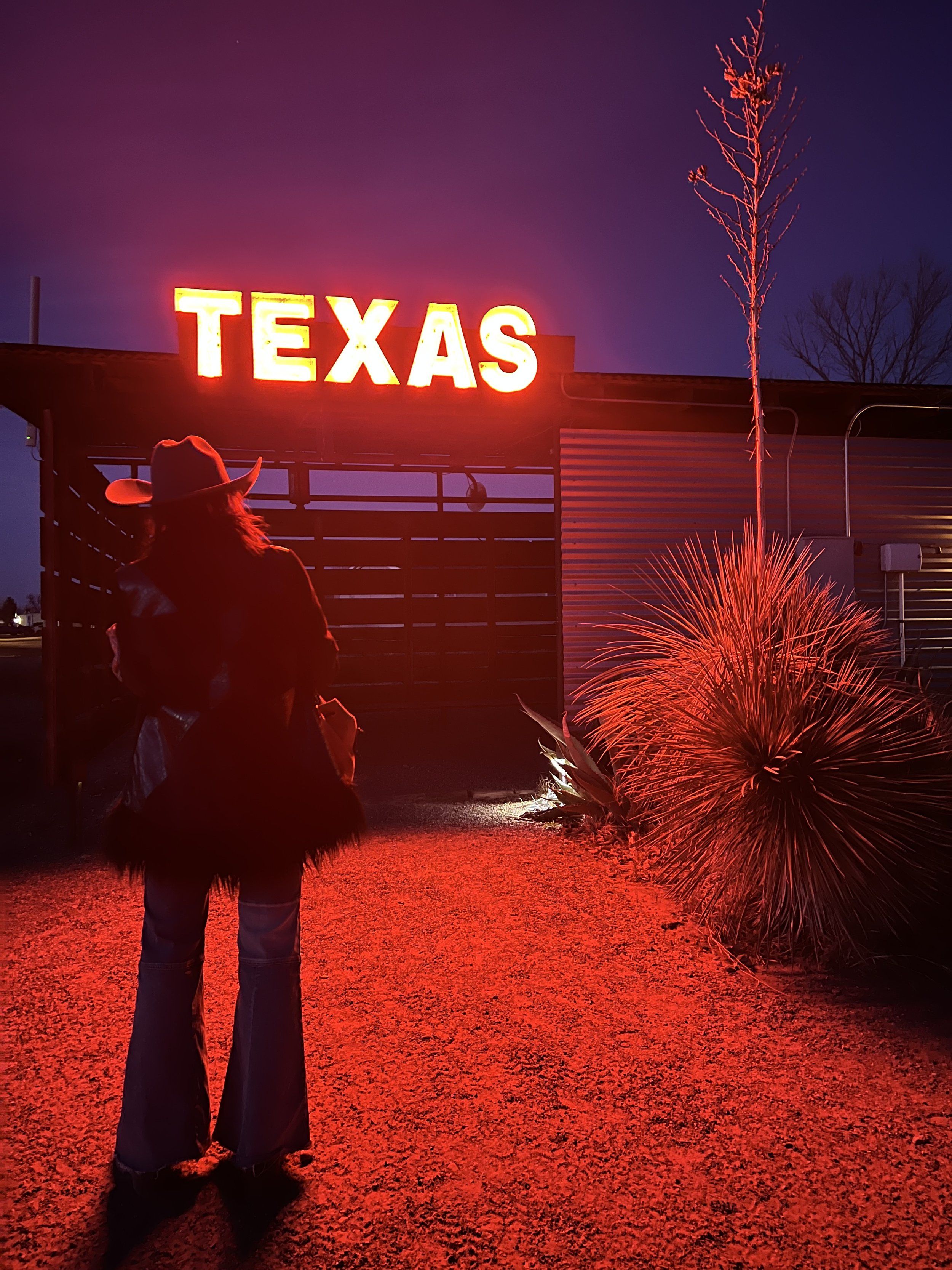 Texas Aesthetic Wallpapers 4k Hd Backgrounds On Wallpaperbat