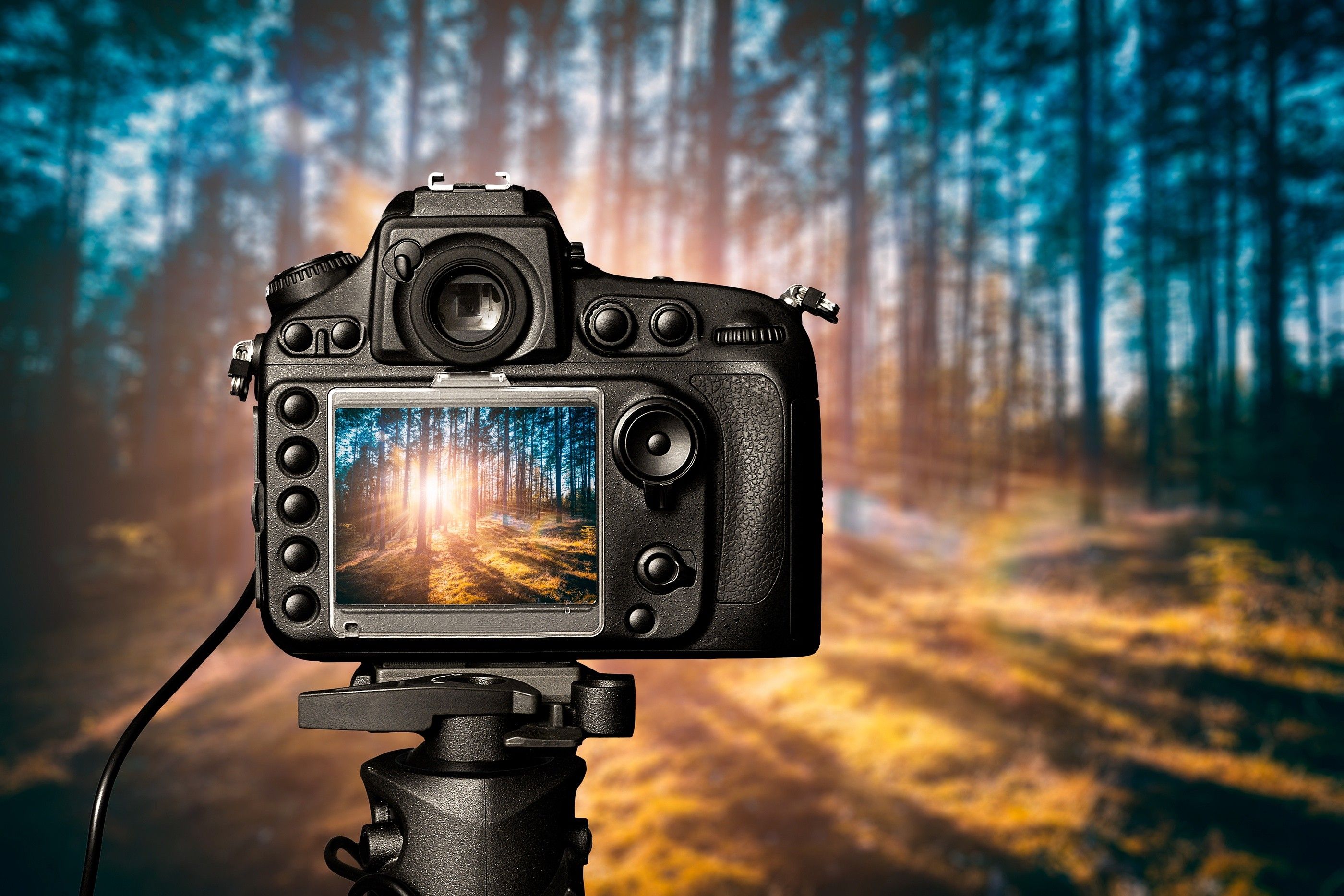 Camera Wallpapers 4k, HD Camera Backgrounds on WallpaperBat