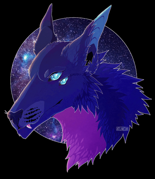 Top more than 81 wolf gif wallpaper super hot in.cdgdbentre