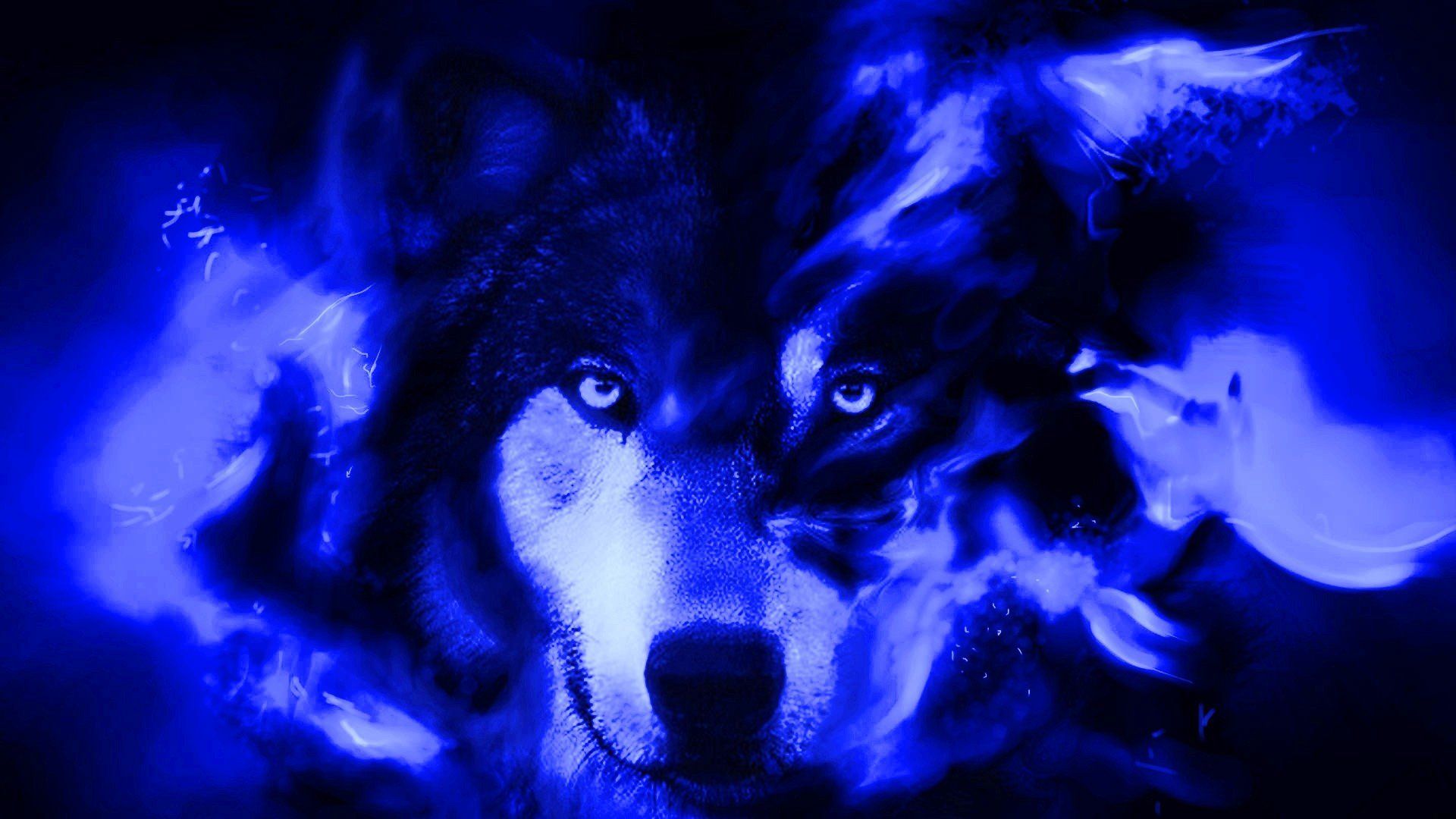 cool blue wolf Wallpaper Cave