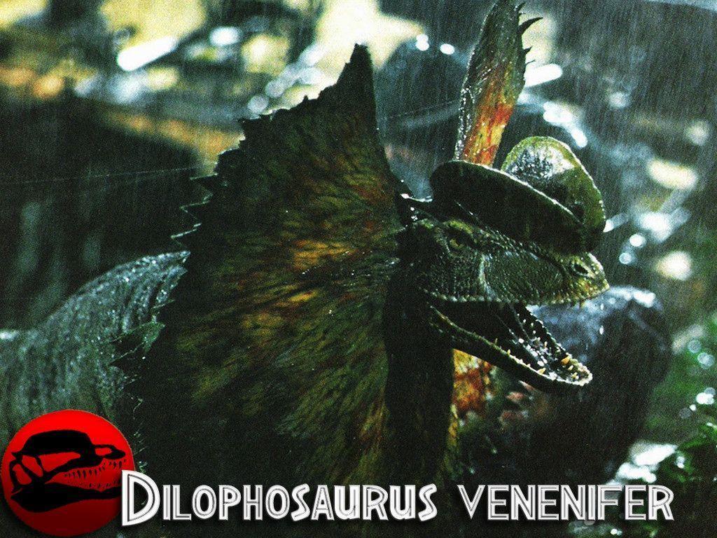 Dilophosaurus Wallpapers Wallpaper Cave