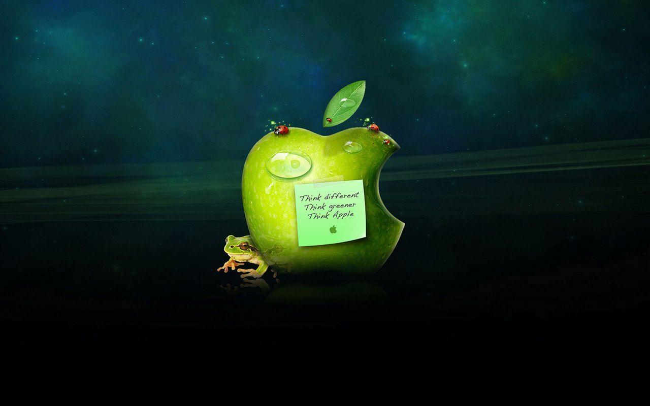 Really Funny Wallpapers Wallpaper Cave