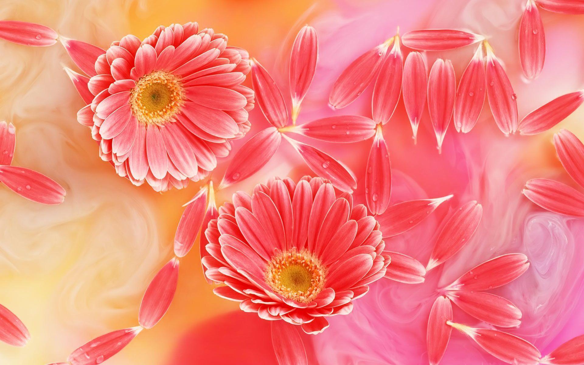 Red Flowers Backgrounds Wallpaper Cave