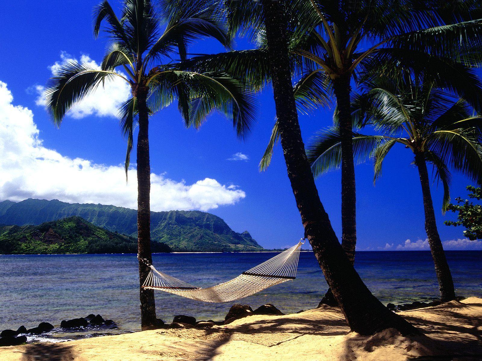 Hawaii Background Images Wallpaper Cave