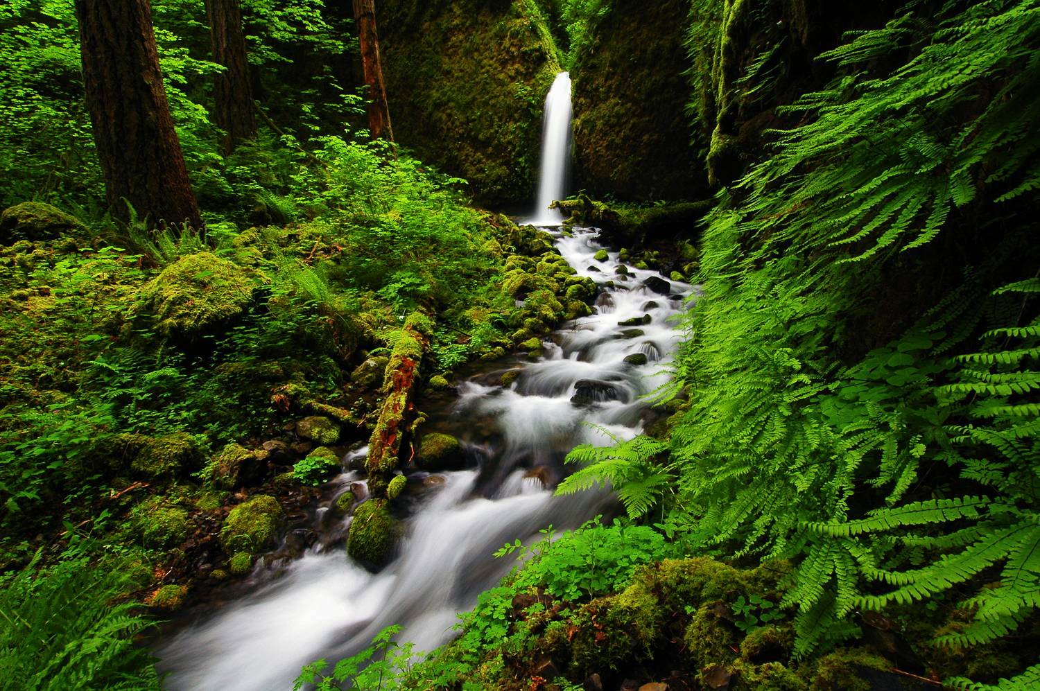 1,000+ Best Free Desktop Wallpaper Backgrounds [HD]