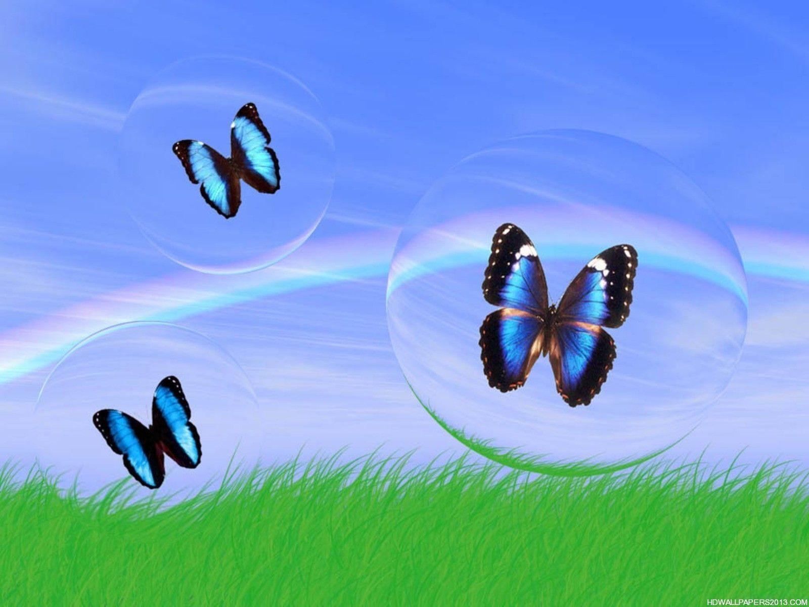 3D Butterfly Wallpapers Wallpaper Cave